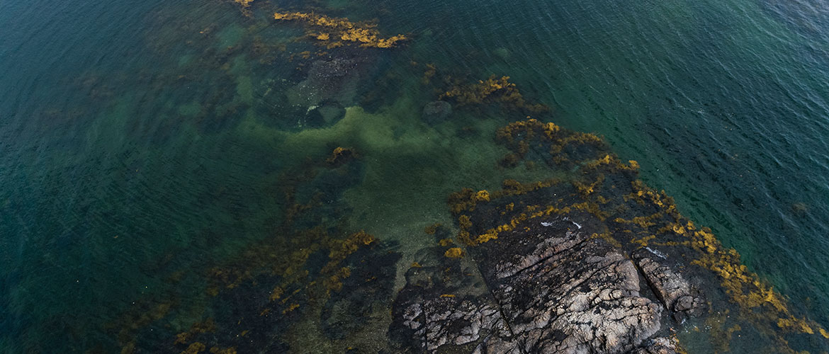 Curtis Cove, Blue Hill Bay by Tate Yoder