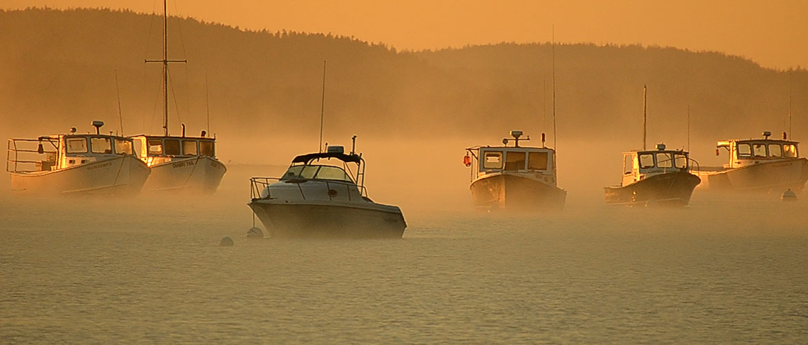 Curtis Cove, Blue Hill Bay by Tate Yoder